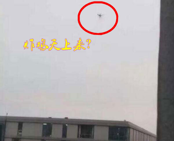 炸雞天上來(lái)，可知「炸機(jī)」危害性？